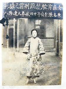 雙槍駝龍