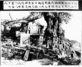 萬縣九五慘案（萬縣慘案）